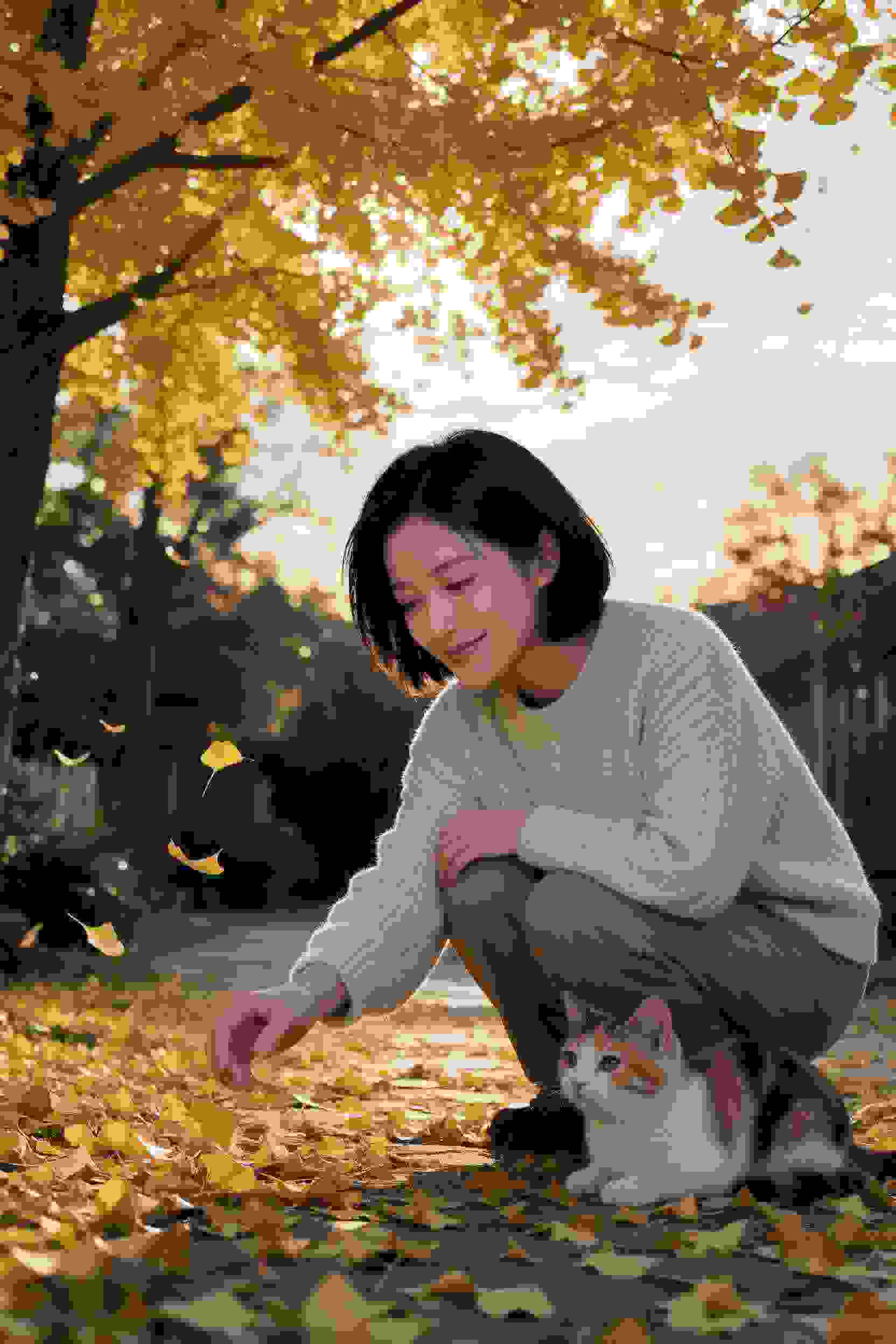 万世飞仙